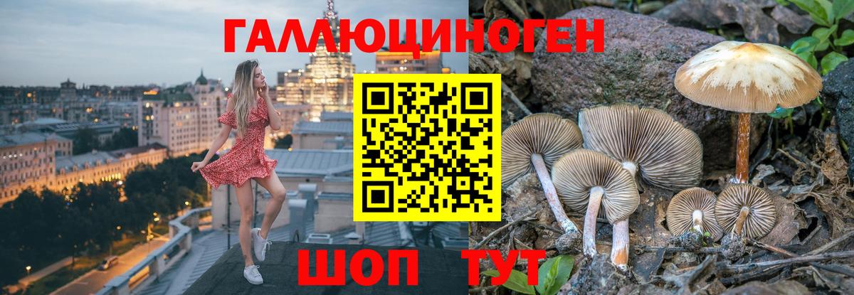 Галлюциногенные грибы Psilocybe  сколько стоит  Печора  Вход с VPN 