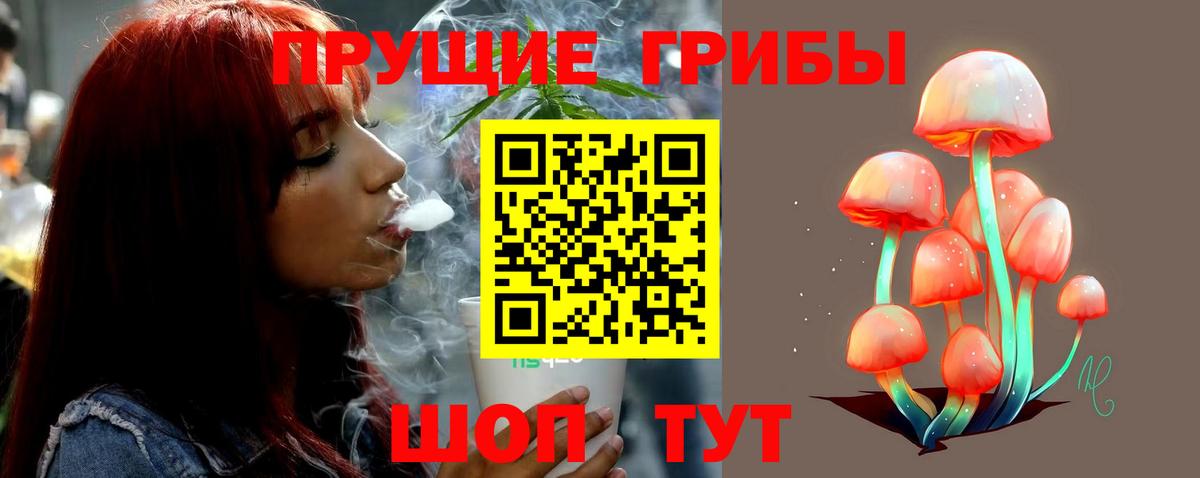 Псилоцибиновые грибы Psilocybine cubensis Печора